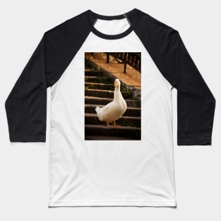 duck pattern Baseball T-Shirt